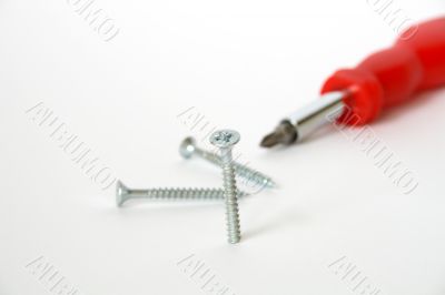 Screws and screwdriver Screws and screwdriver