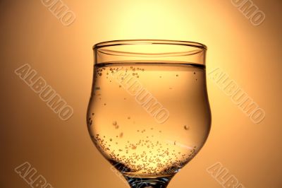 Golden champagne Golden champagne