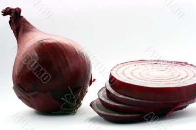 Red and Yellow Onion isolated in white background