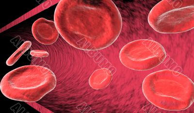 Blood cells in artery