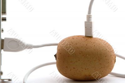 The kiwifruit connected through usb cable The kiwifruit connected through usb cable