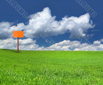 sign post on green meadow