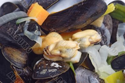 Mussels