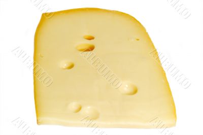 Piece of cheese