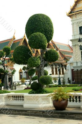decorative tree decorative tree