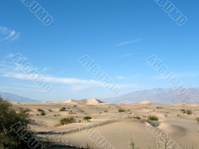 Sand dunes, Death Valley, California