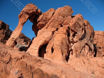 Elephant Rock in Valley of Fire, Nevada Elephant Rock in Valley of Fire, Nevada