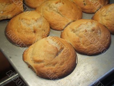 Healthy Morning Bran Muffins
