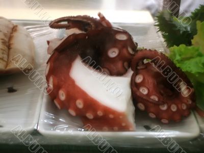 Fresh Octopus