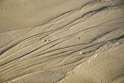 low tide