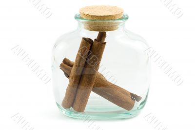 cinnamon bark in the bottle cinnamon bark in the bottle
