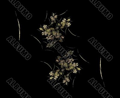 fractal fractal