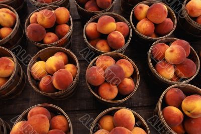 Peaches Peaches