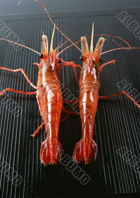 Appetizing prawn Appetizing prawn