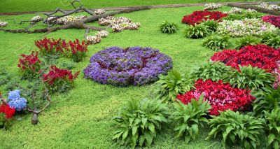 Flowerbed Flowerbed