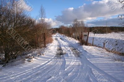 Trees and fields along rural road in the winter