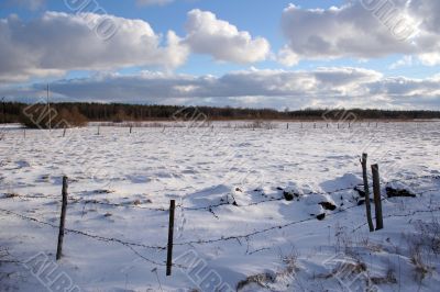 Trees and fields along rural road in the winter