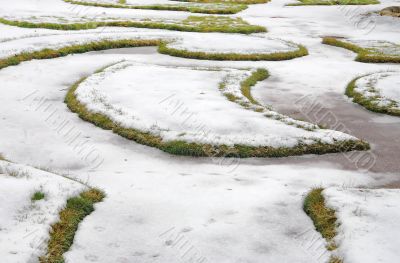 Lawn in winter Lawn in winter