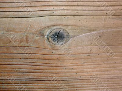Wood Texture Wood Texture