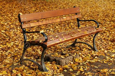 bench in autumn