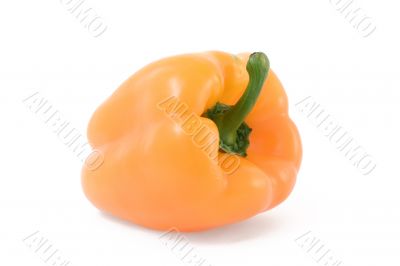Yellow bulgarian pepper