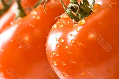 wet red wet red