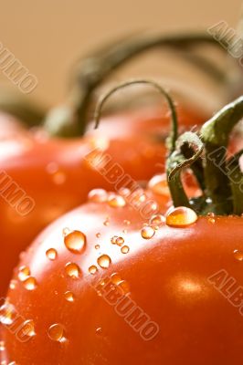 wet red wet red