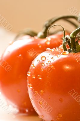 wet red wet red