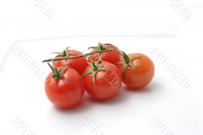 Cherry Tomato