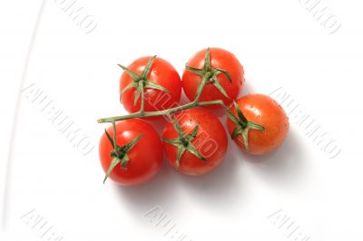 Cherry Tomato