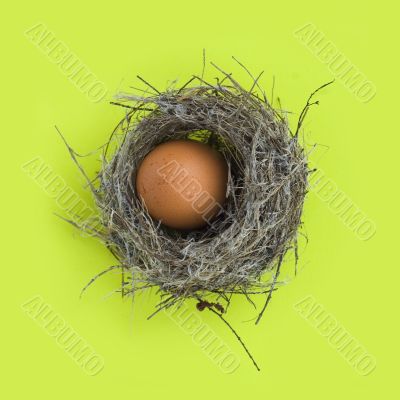 Egg in a nest Egg in a nest