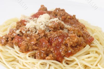 Bolognese