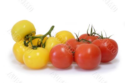 Tomatoes