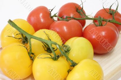 Healthy Tomatoes