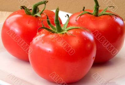 Tomatoes Fresh
