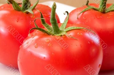 Delicious Tomatoes.