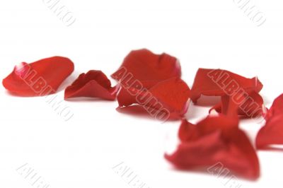red petals