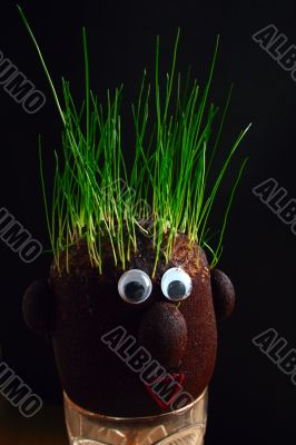 grass on the head