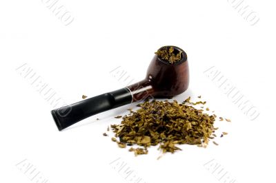 tobacco-pipe and heap of tobacco