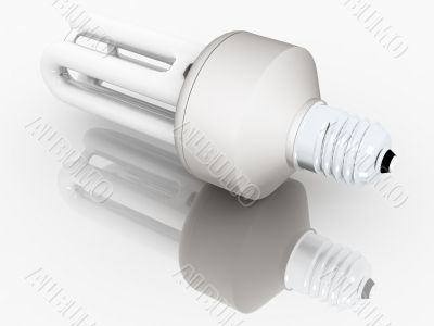 light bulb light bulb