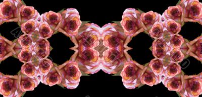Collage of roses