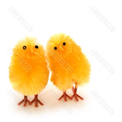 couple easter chickens couple easter chickens