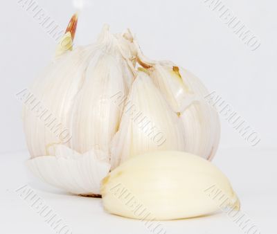 garlic