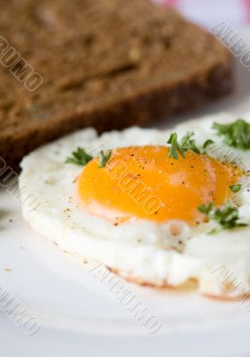 Delicious fried egg