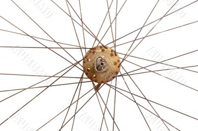 Old bicycle wheel