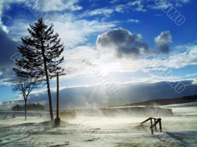 february snowstorm