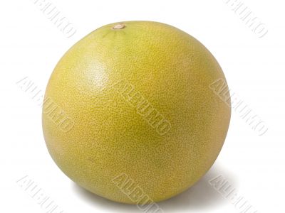 pomelo