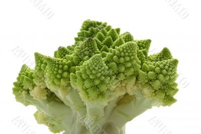 Romanesque isolated