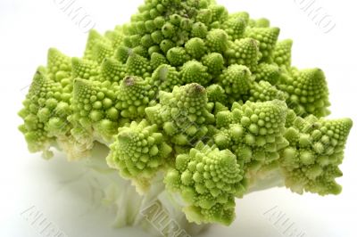 Romanesque isolated