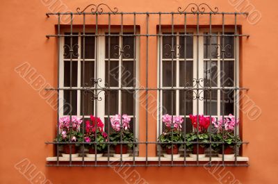 Windows Windows